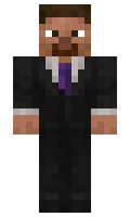 Pave minecraft skin