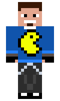 stint minecraft skin