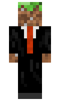 Ackepro12 minecraft skin