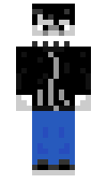 9f9c1d2573d10a minecraft skin