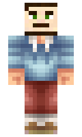 Spinball minecraft skin