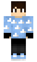 playerhasan1903 minecraft skin