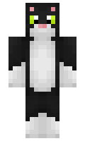 Catt6118 minecraft skin