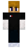 TheTreasure minecraft skin