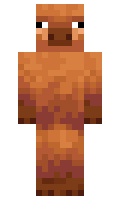Coldified minecraft skin