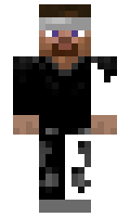 APDEL minecraft skin