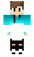 a0518fdf2a73ea minecraft skin