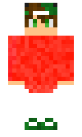 a0629966eb4521 minecraft skin