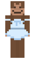 a07e20c80573b6 minecraft skin