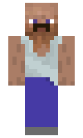 zcj minecraft skin