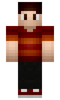 avion minecraft skin