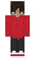 a096c35ced950a minecraft skin