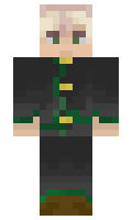 a0c6fa60e41b5d minecraft skin