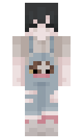a0cadbb740c341 minecraft skin
