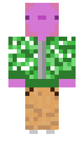 liomar minecraft skin