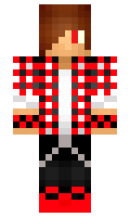 paa minecraft skin