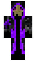 BrownForaReason minecraft skin