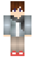 AerWyn81 minecraft skin