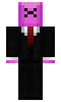 a1315d90027b55 minecraft skin