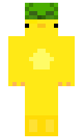a13dcee6000481 minecraft skin