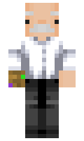 zegevlier minecraft skin