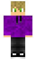 a1644013f1c905 minecraft skin