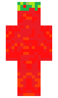 tuan minecraft skin