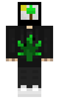 a177ae99885611 minecraft skin