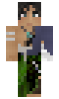 a178bd2d63a003 minecraft skin