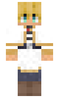 Wonkg1org minecraft skin
