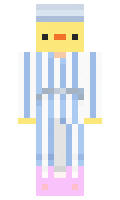 Hzz minecraft skin