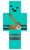 a1c0e45966e8aa minecraft skin