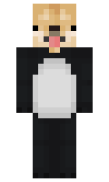 a1c19ba5022841 minecraft skin
