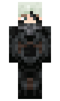 Destroyer2921 minecraft skin