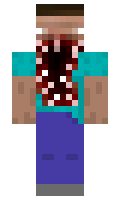 a1d775b54dfaaf minecraft skin