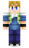 tur minecraft skin