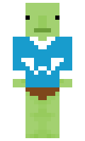 a1f119d2624b68 minecraft skin