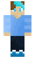 a20f23adec4ca0 minecraft skin