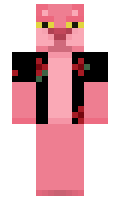 Battuidi minecraft skin
