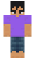a222c5a2a5e604 minecraft skin