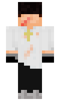 a2800ea564fda7 minecraft skin