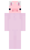 a29538c9b0a863 minecraft skin