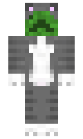a2a0a55c79f370 minecraft skin