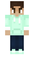 NotSebi minecraft skin