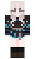 a2c8cd246042d7 minecraft skin