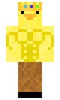 willthepro2 minecraft skin