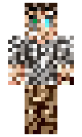 a2e7306d097ecc minecraft skin