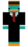 Vojtaji minecraft skin