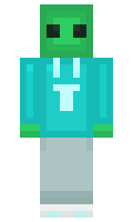 TheBrdgeTrtleYT minecraft skin