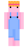 a311db7c6d89e2 minecraft skin